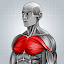 Fitness Exercises: Lightweight